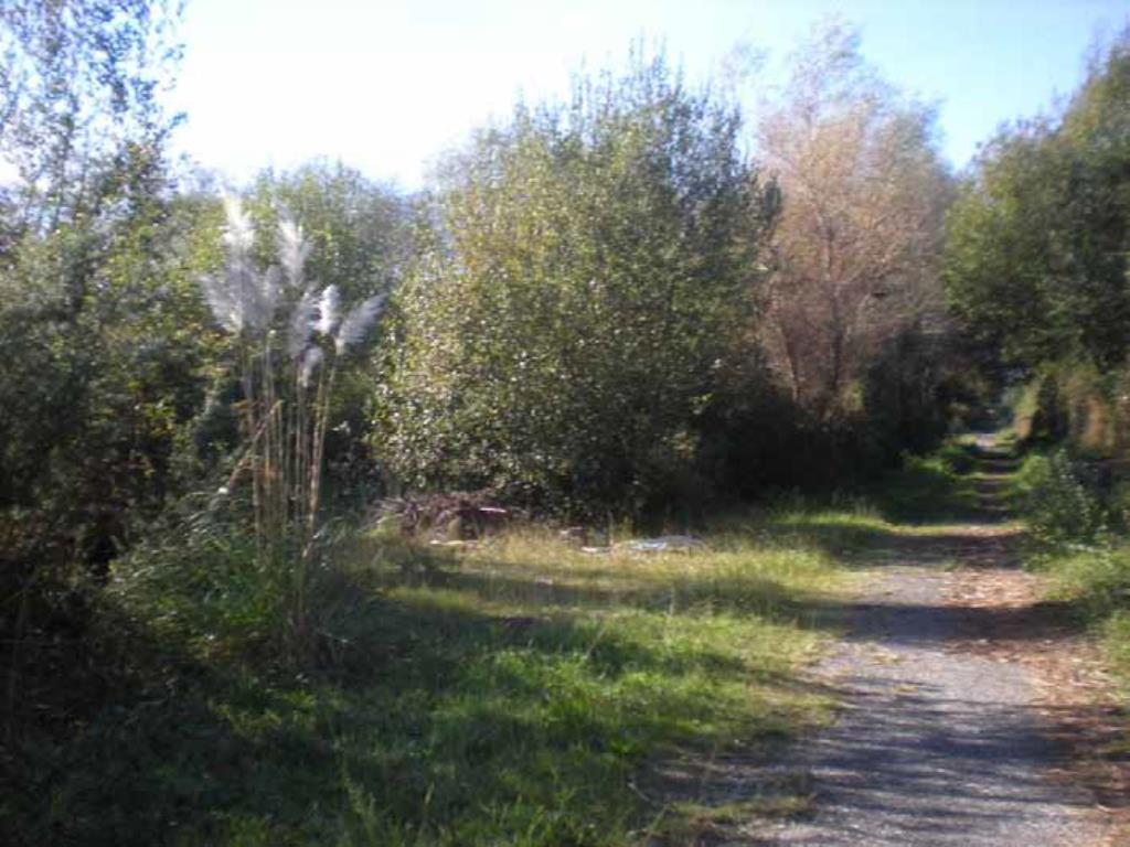 Suelo en Sanxenxo, Pontevedra