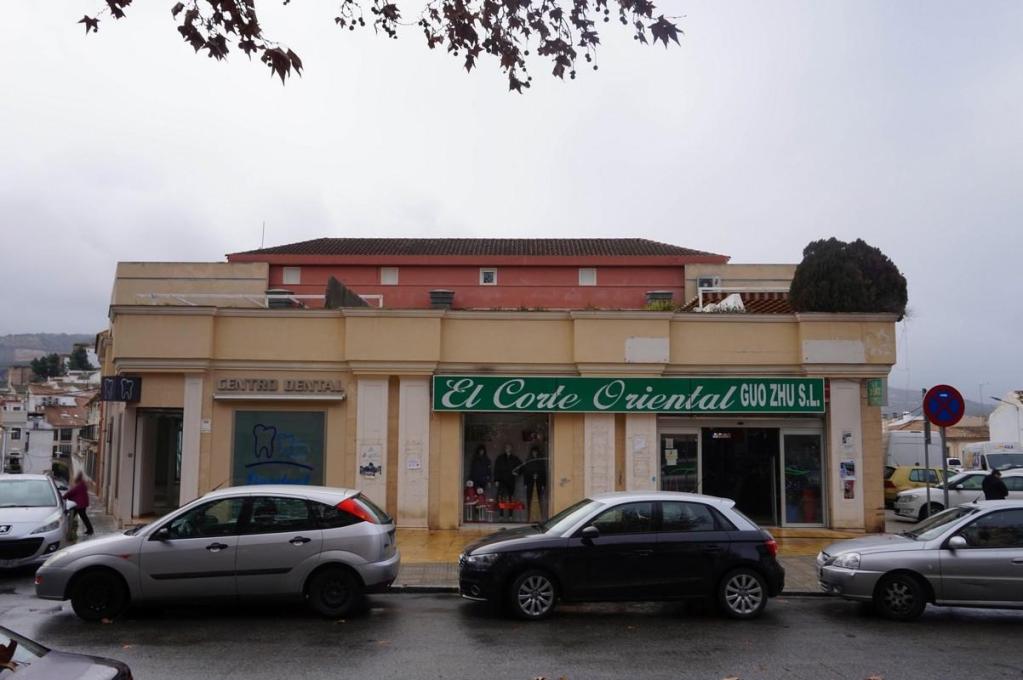 C/ Pintor Peñalosa