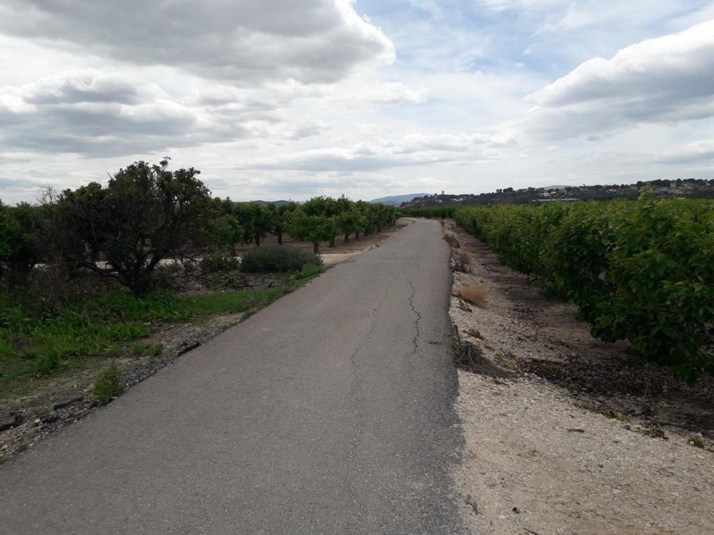 Suelo en Alberic, Valencia
