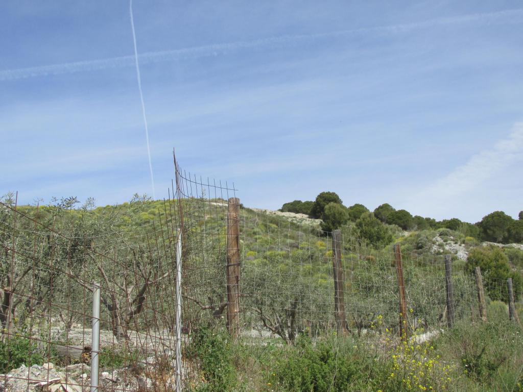 Suelo en Motril, Granada