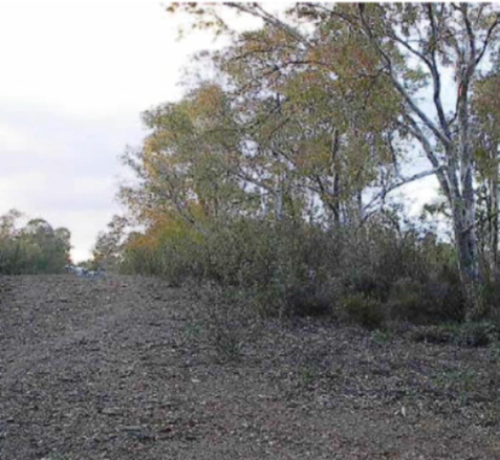 DEHESA DEL SERRANO