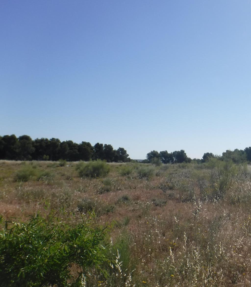 Suelo en Lleida, Lleida