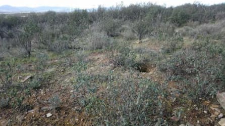 Suelo en Sevilleja de la Jara, Toledo
