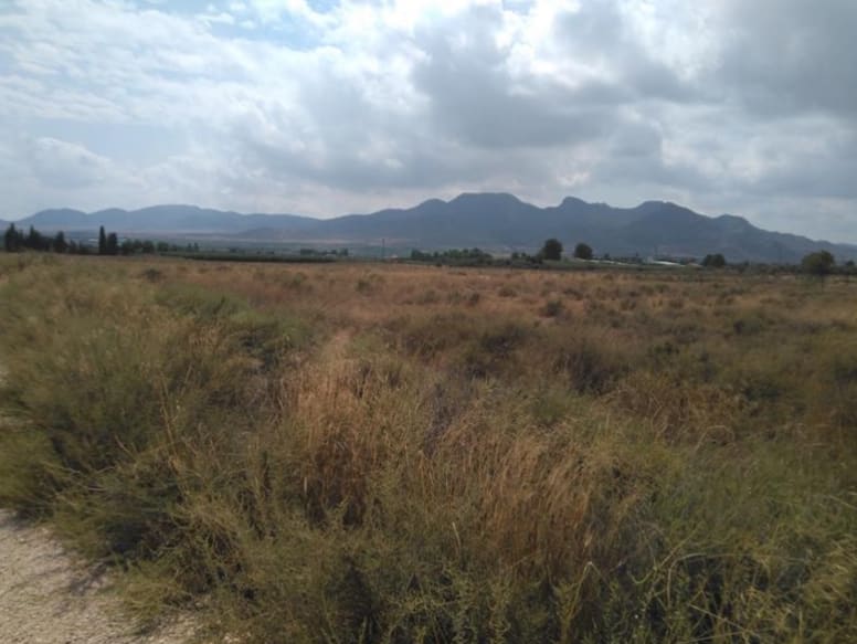 Suelo en Jumilla, Murcia