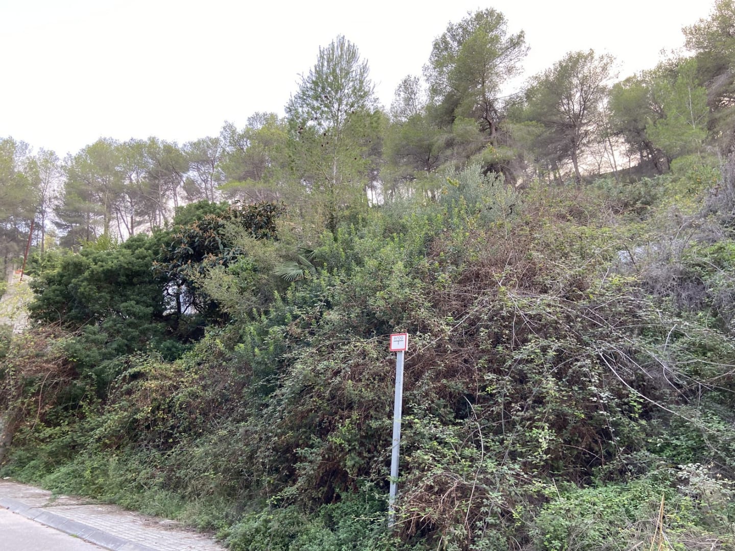 Suelo en Sant Pere de Ribes, Barcelona