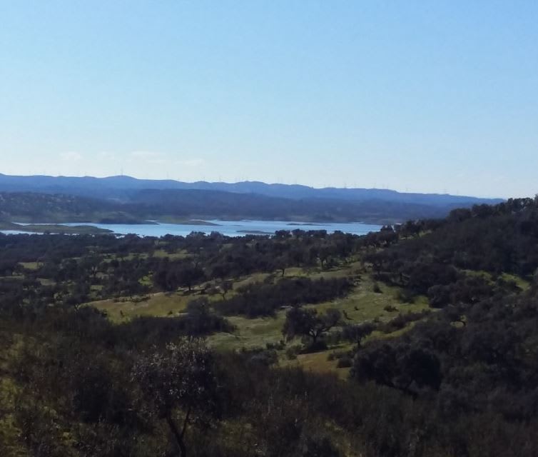 Suelo en Puebla de Guzmán, Huelva