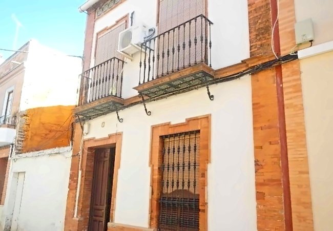 Colon