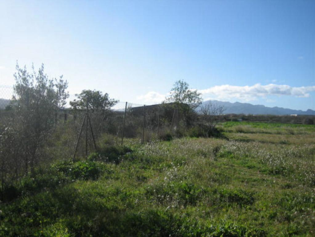 Suelo en Móra d'Ebre, Tarragona