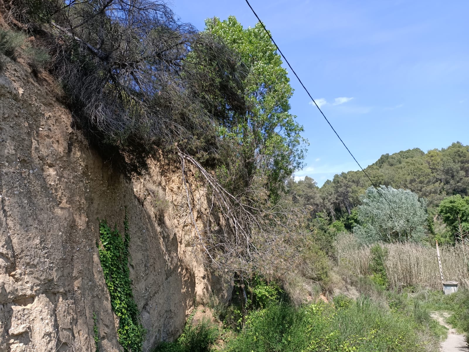 Suelo en Masquefa, Barcelona