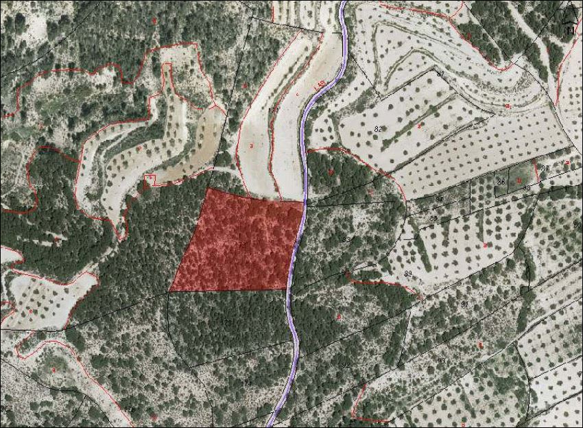 PARAJE LOS HERMANILLOS Nº .