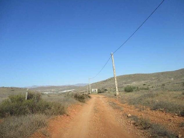 LOMA PELADA