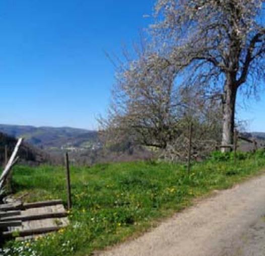 Suelo en Santa Eulalia de Oscos, Asturias