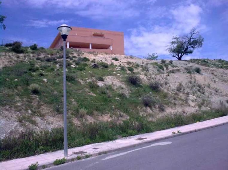 BORDADORAS