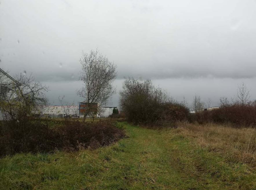 Suelo en Cangas del Narcea, Asturias