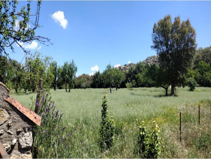 Manzanos (los)